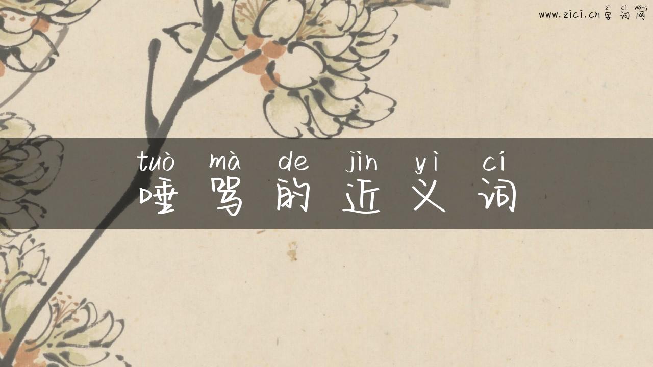 唾骂的近义词