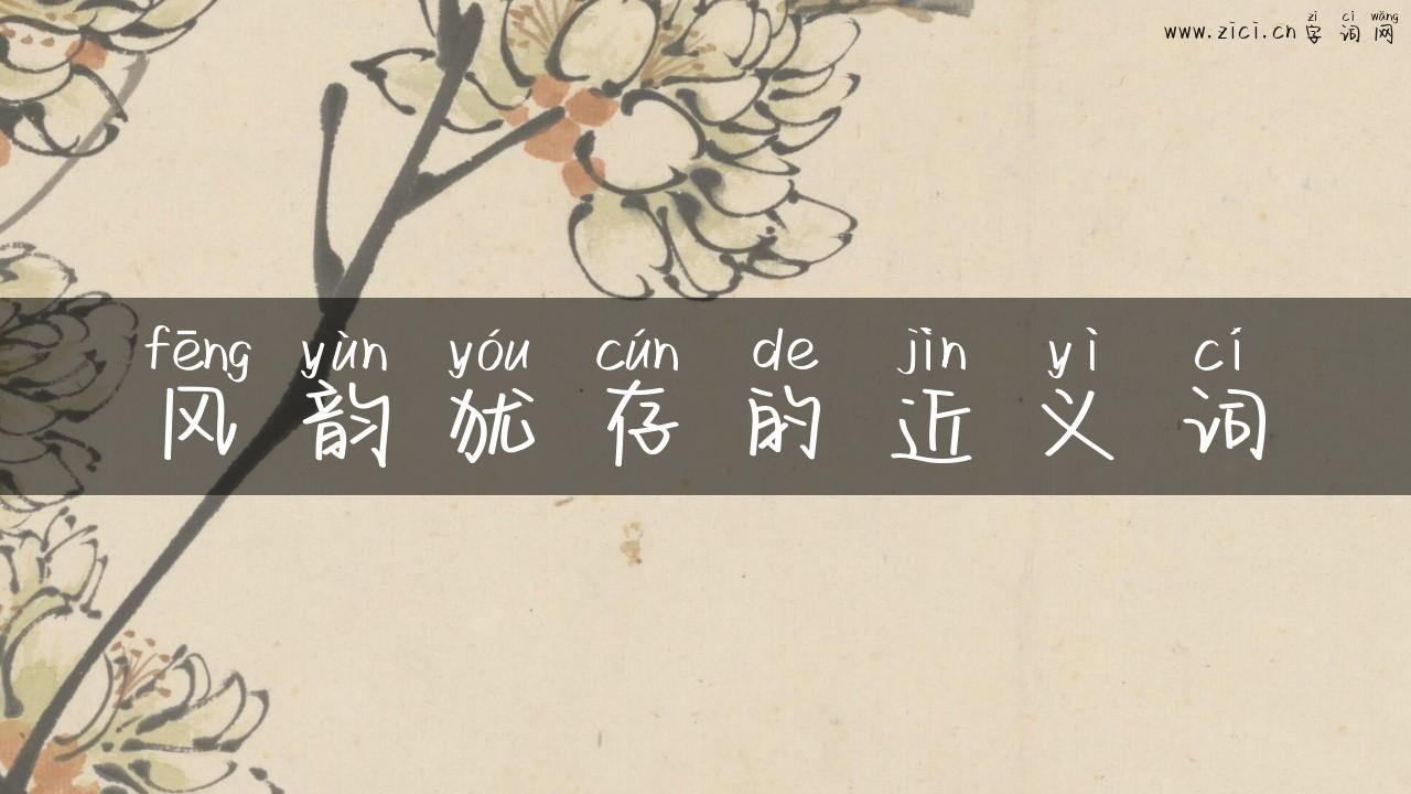 风韵犹存的近义词