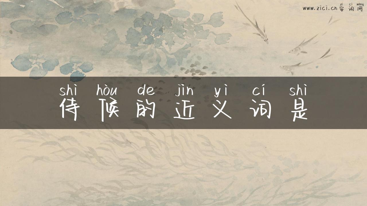 侍候的近义词是