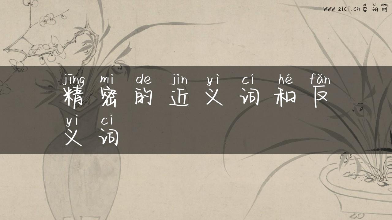 精密的近义词和反义词