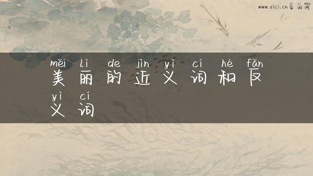 美丽的近义词和反义词