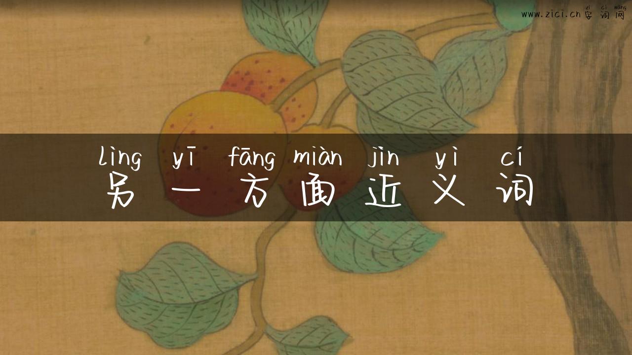另一方面近义词