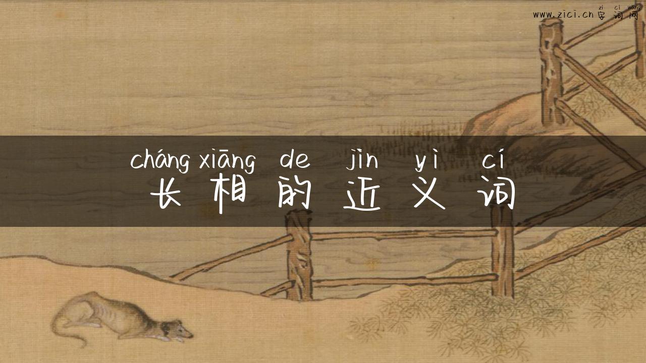 长相的近义词