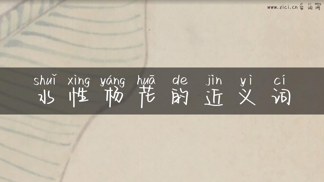 水性杨花的近义词