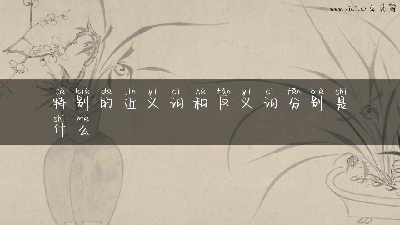 特别的近义词和反义词分别是什么