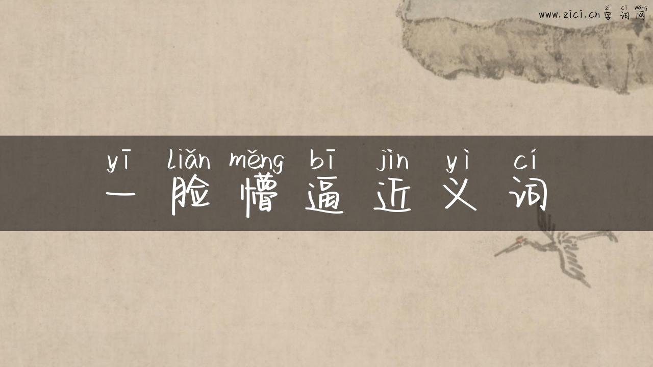一脸懵逼近义词