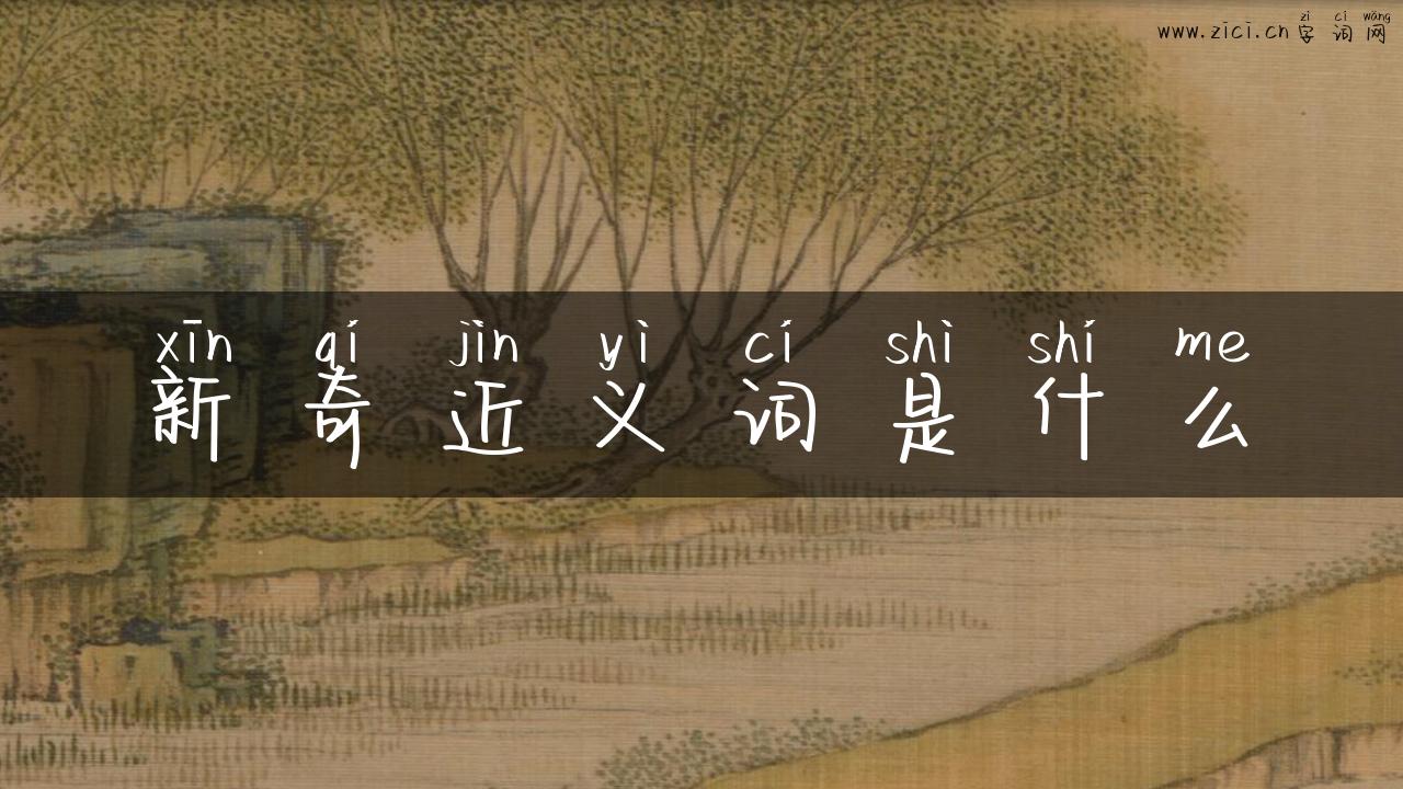新奇近义词是什么