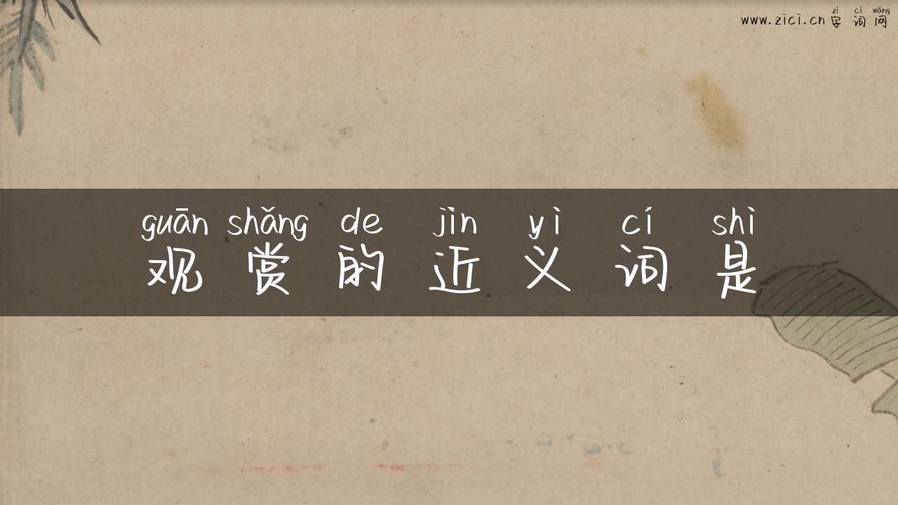 观赏的近义词是