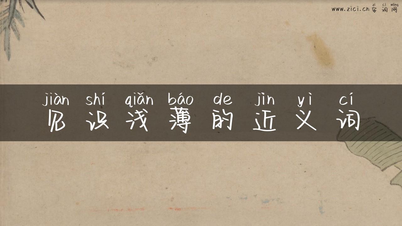 见识浅薄的近义词