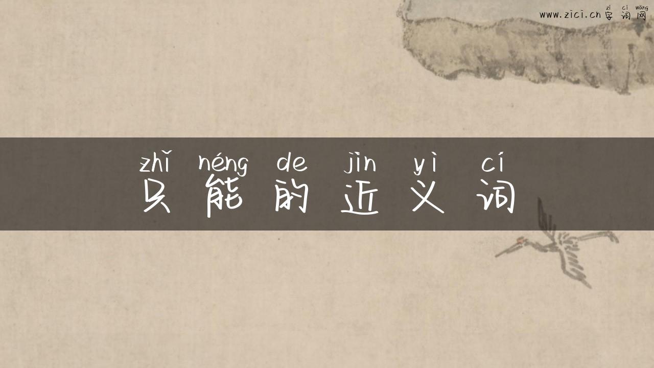 只能的近义词