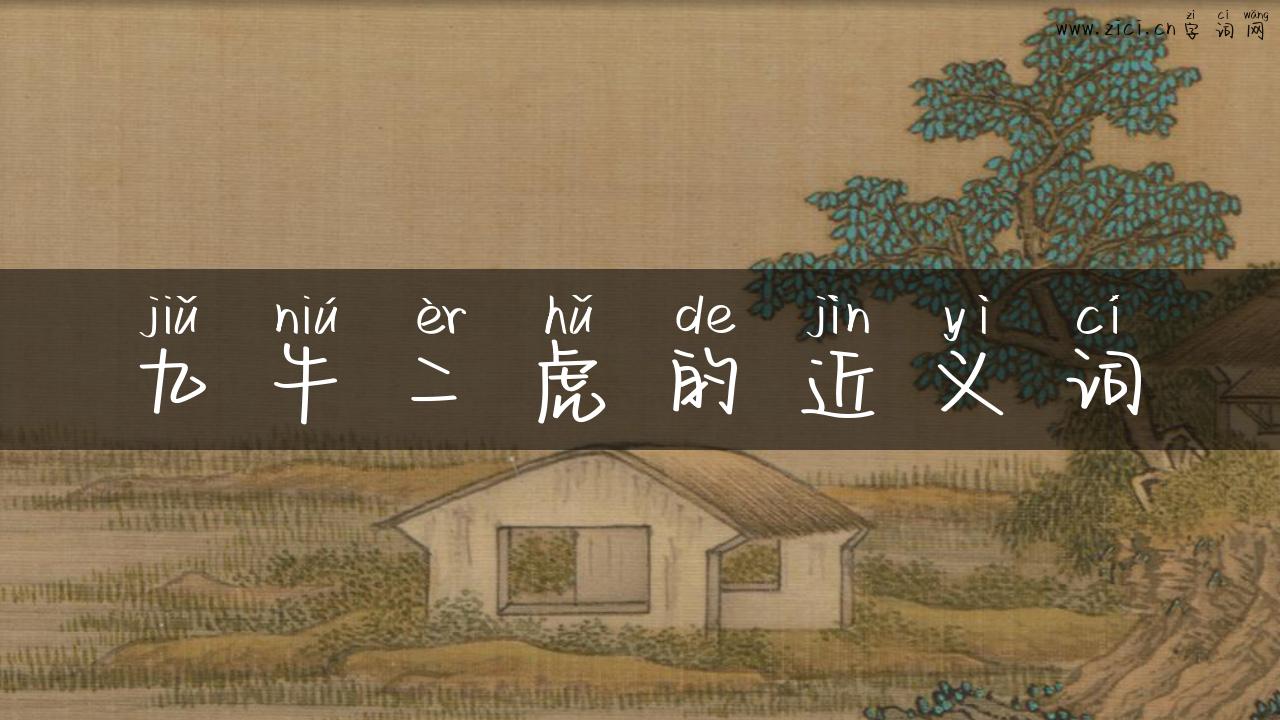 九牛二虎的近义词