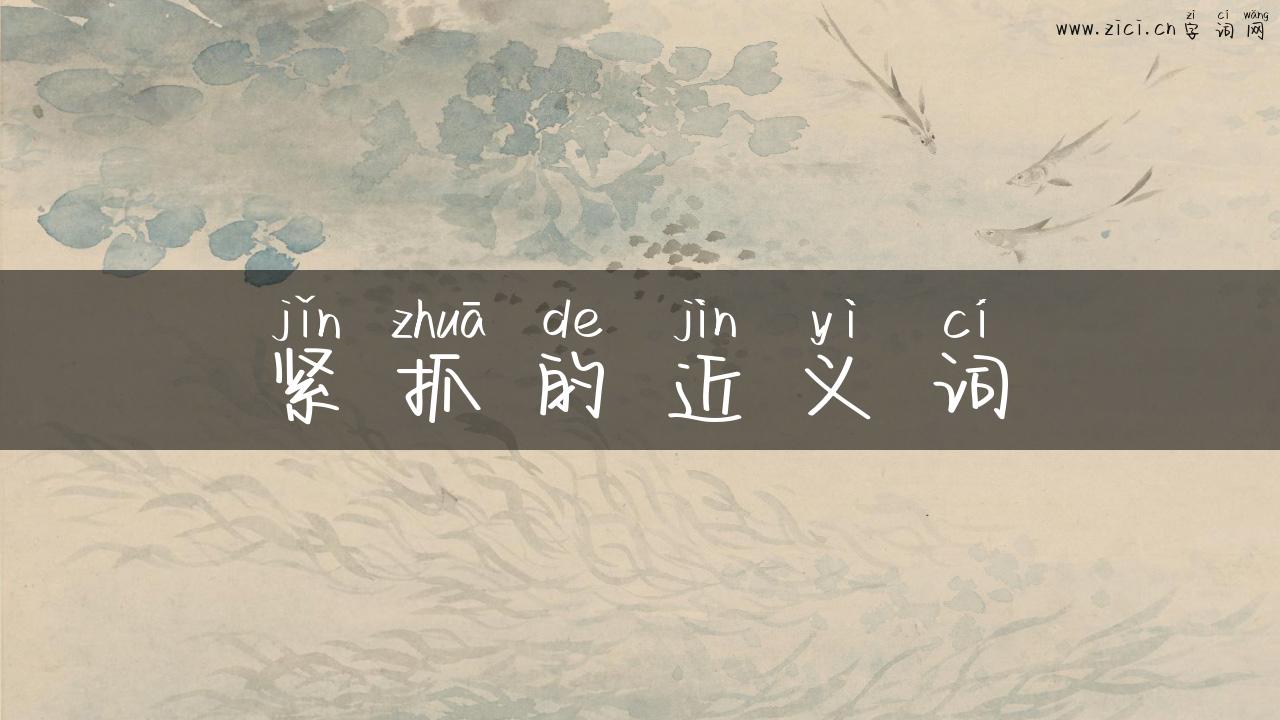 紧抓的近义词