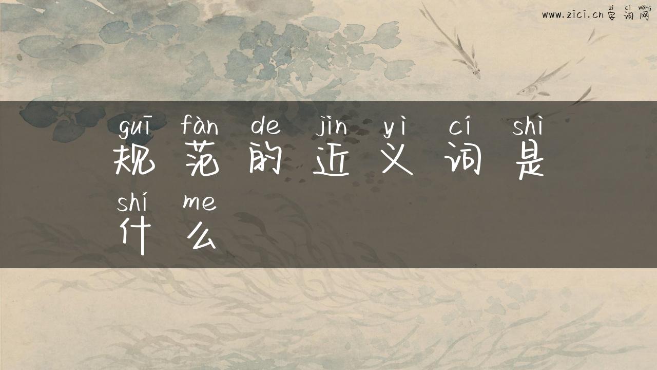 规范的近义词是什么