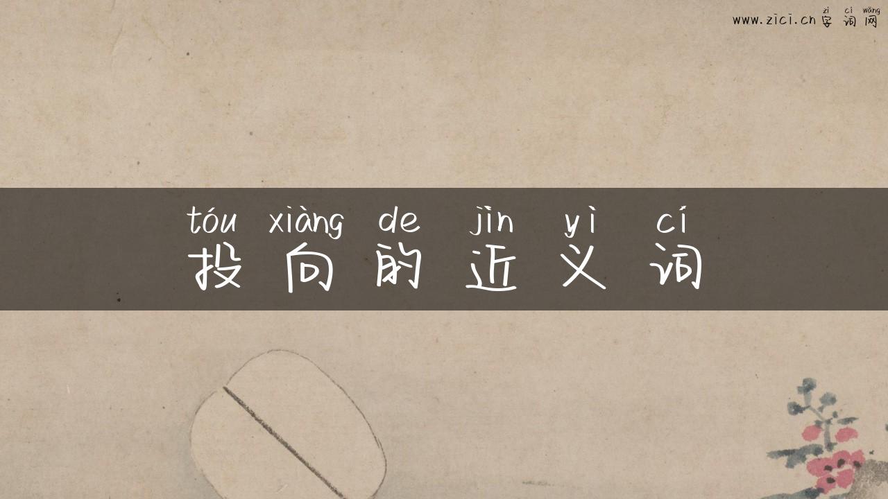 投向的近义词