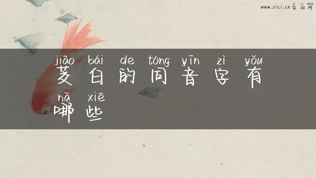 茭白的同音字有哪些