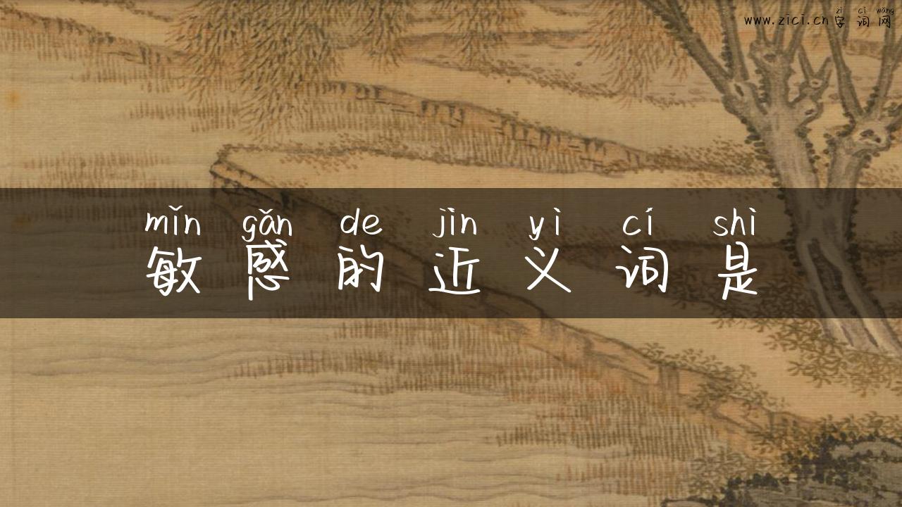 敏感的近义词是