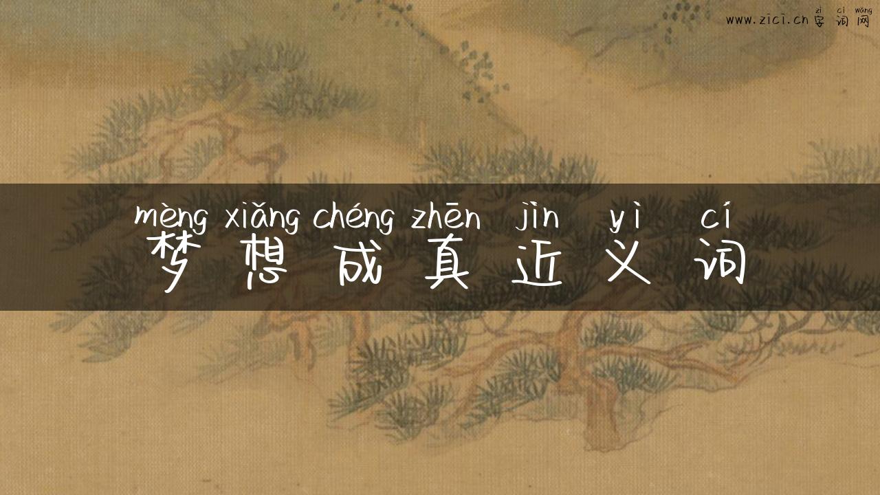 梦想成真近义词