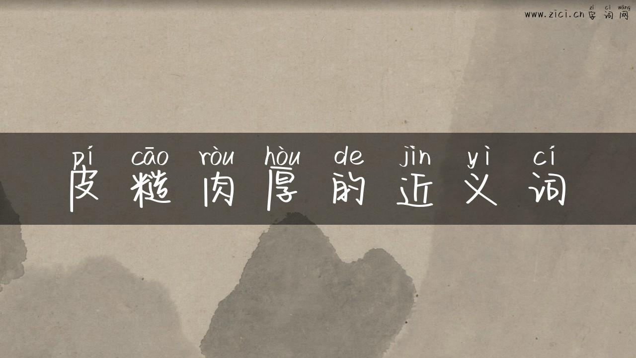 皮糙肉厚的近义词