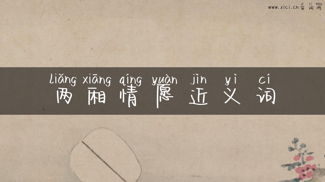 两厢情愿近义词