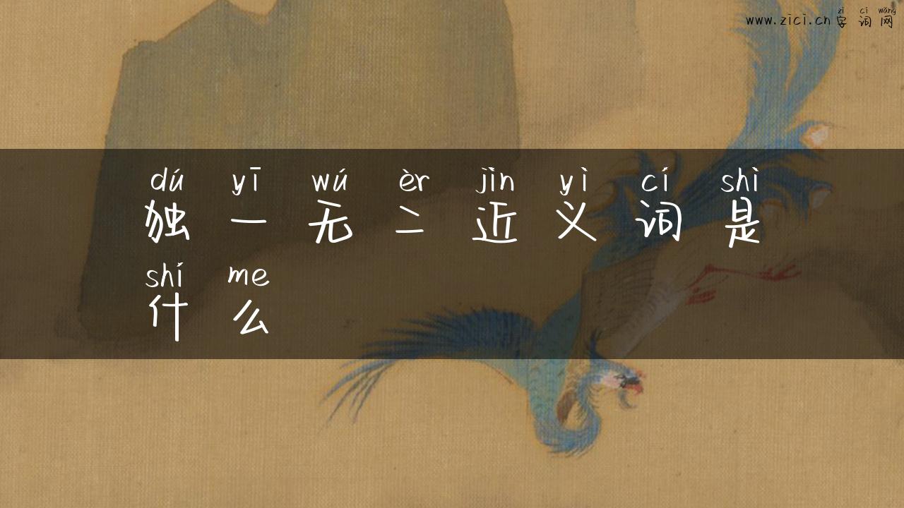 独一无二近义词是什么