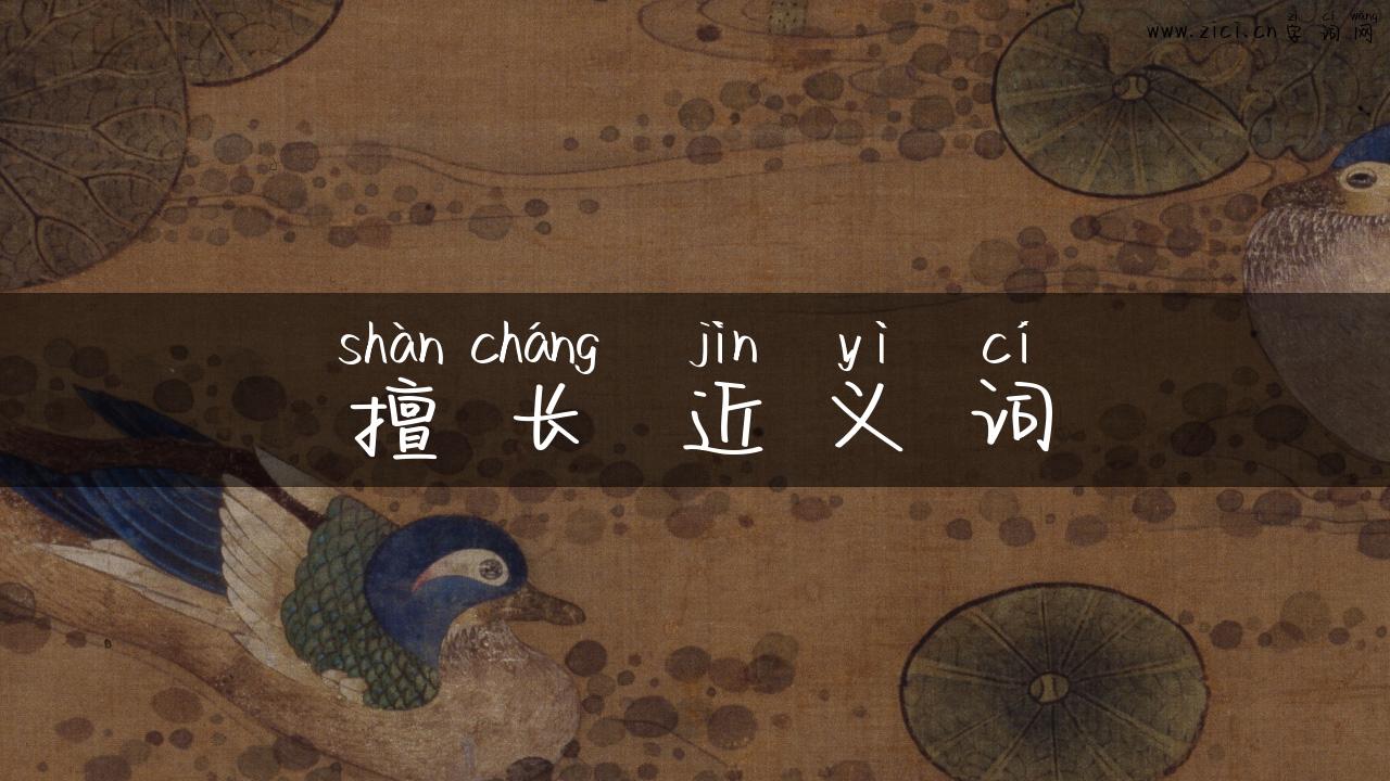 擅长 近义词