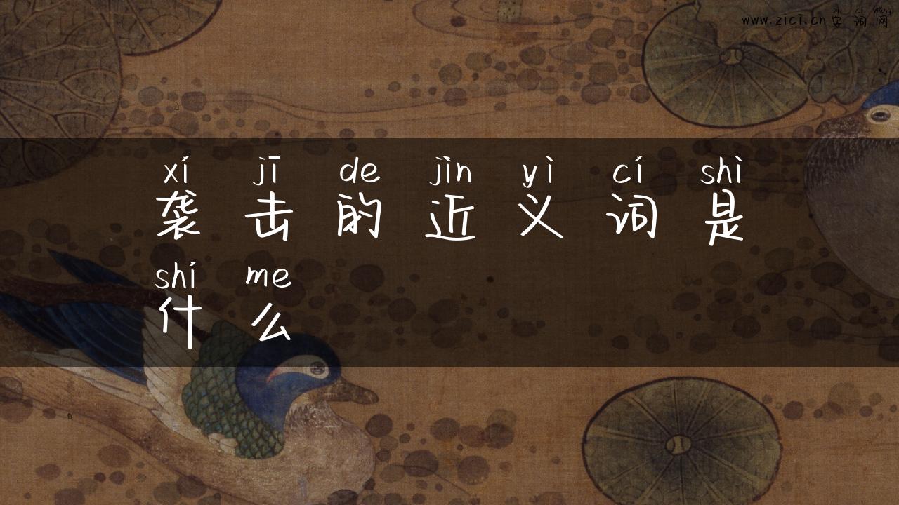袭击的近义词是什么