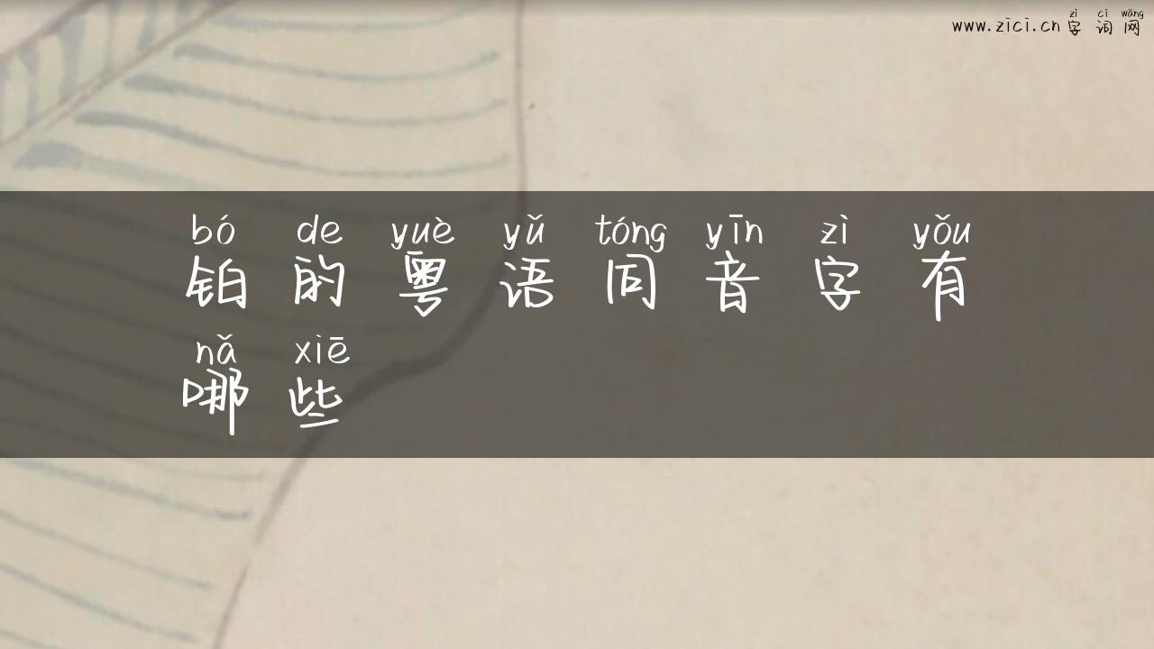 铂的粤语同音字有哪些