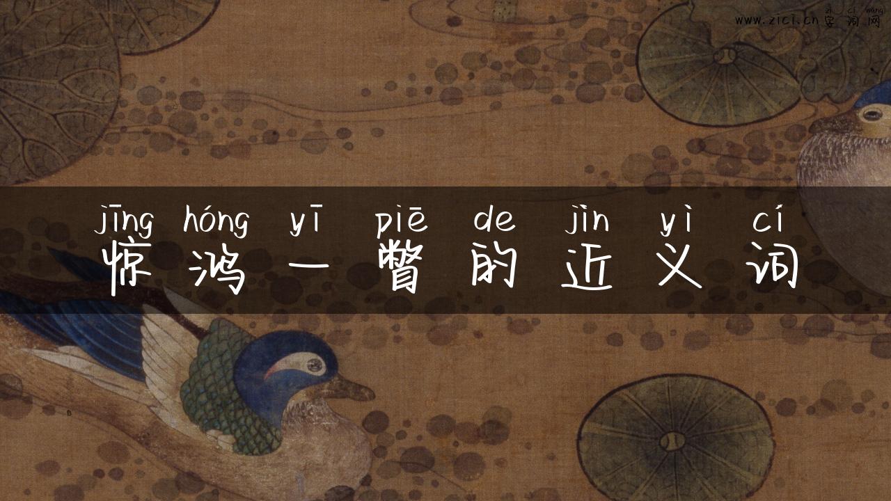 惊鸿一瞥的近义词