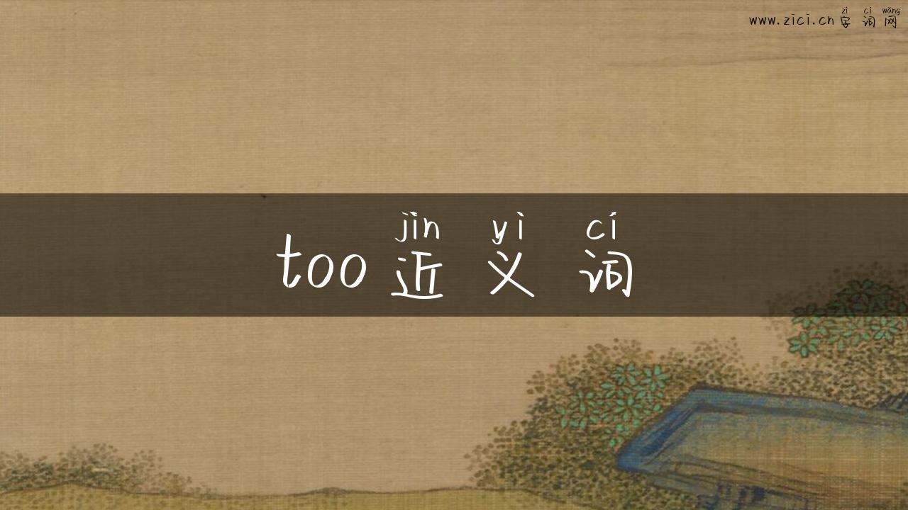 too近义词
