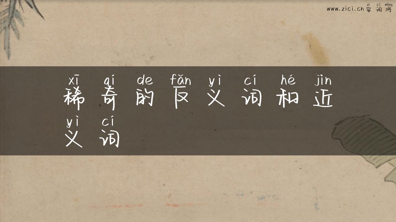 稀奇的反义词和近义词