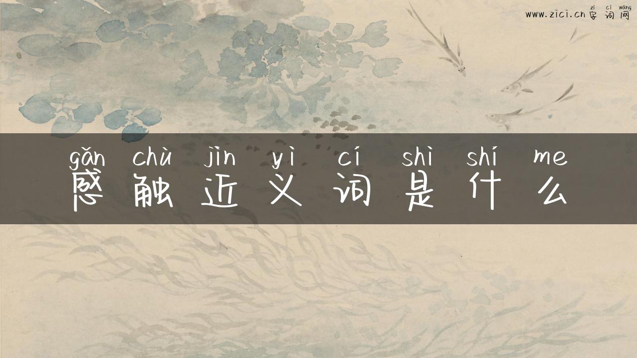 感触近义词是什么