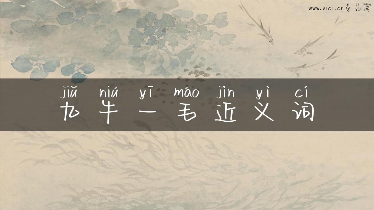 九牛一毛近义词