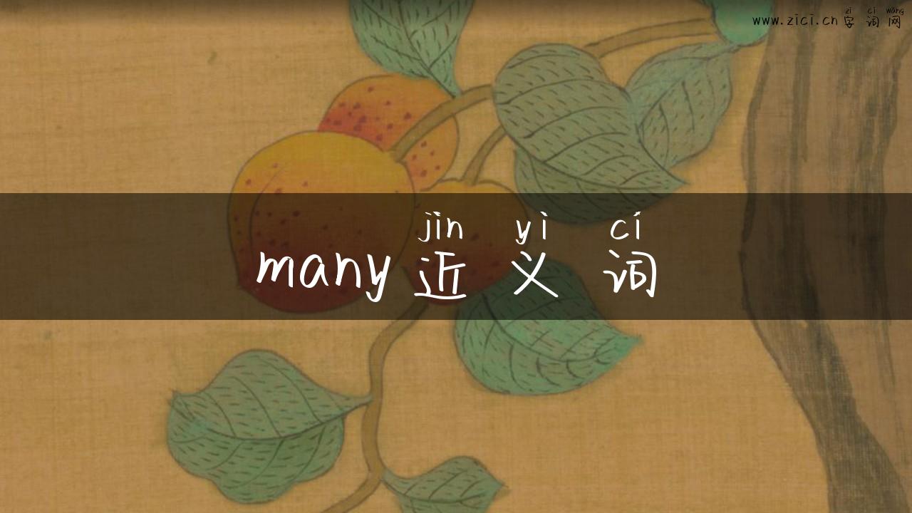 many近义词