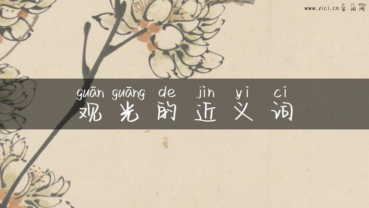 观光的近义词
