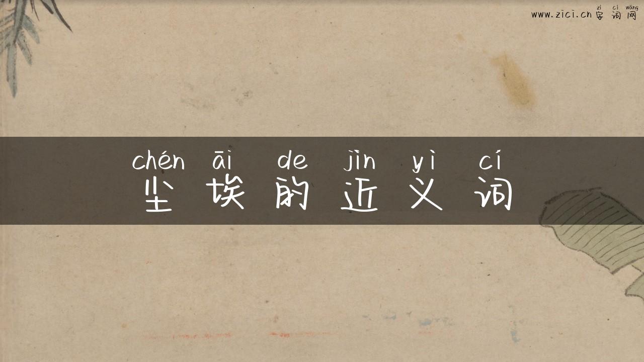 尘埃的近义词