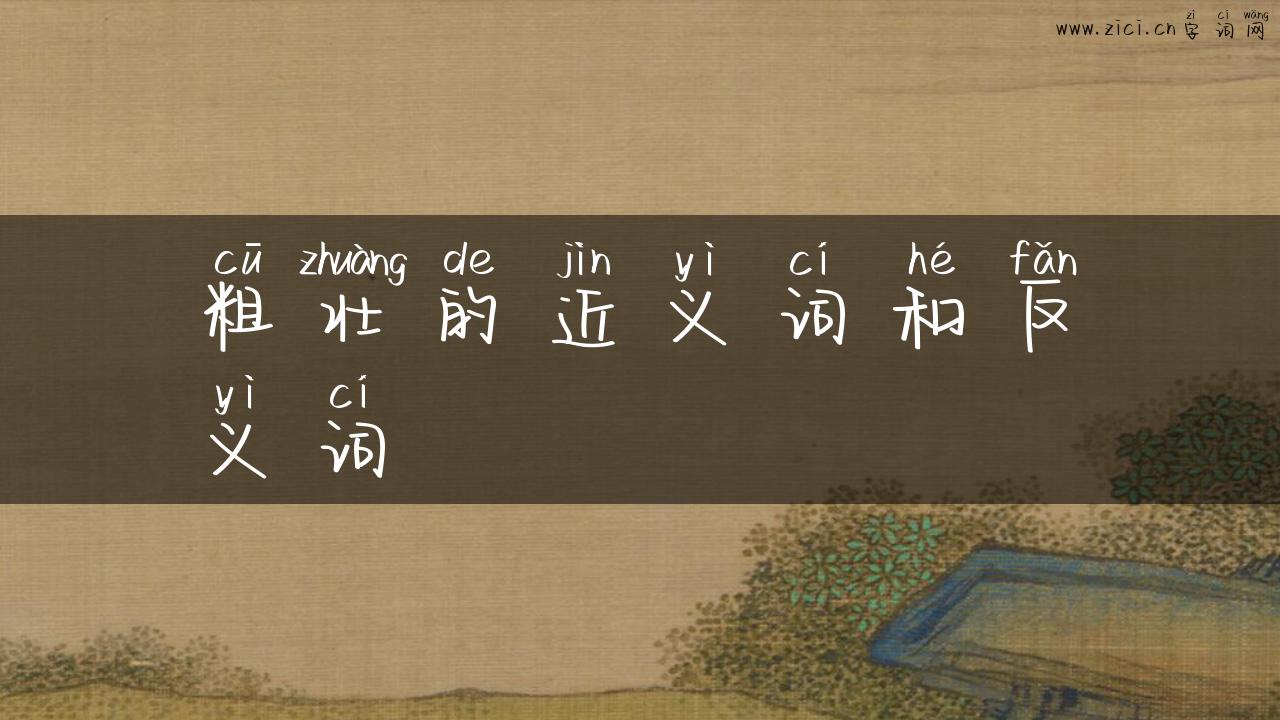 粗壮的近义词和反义词