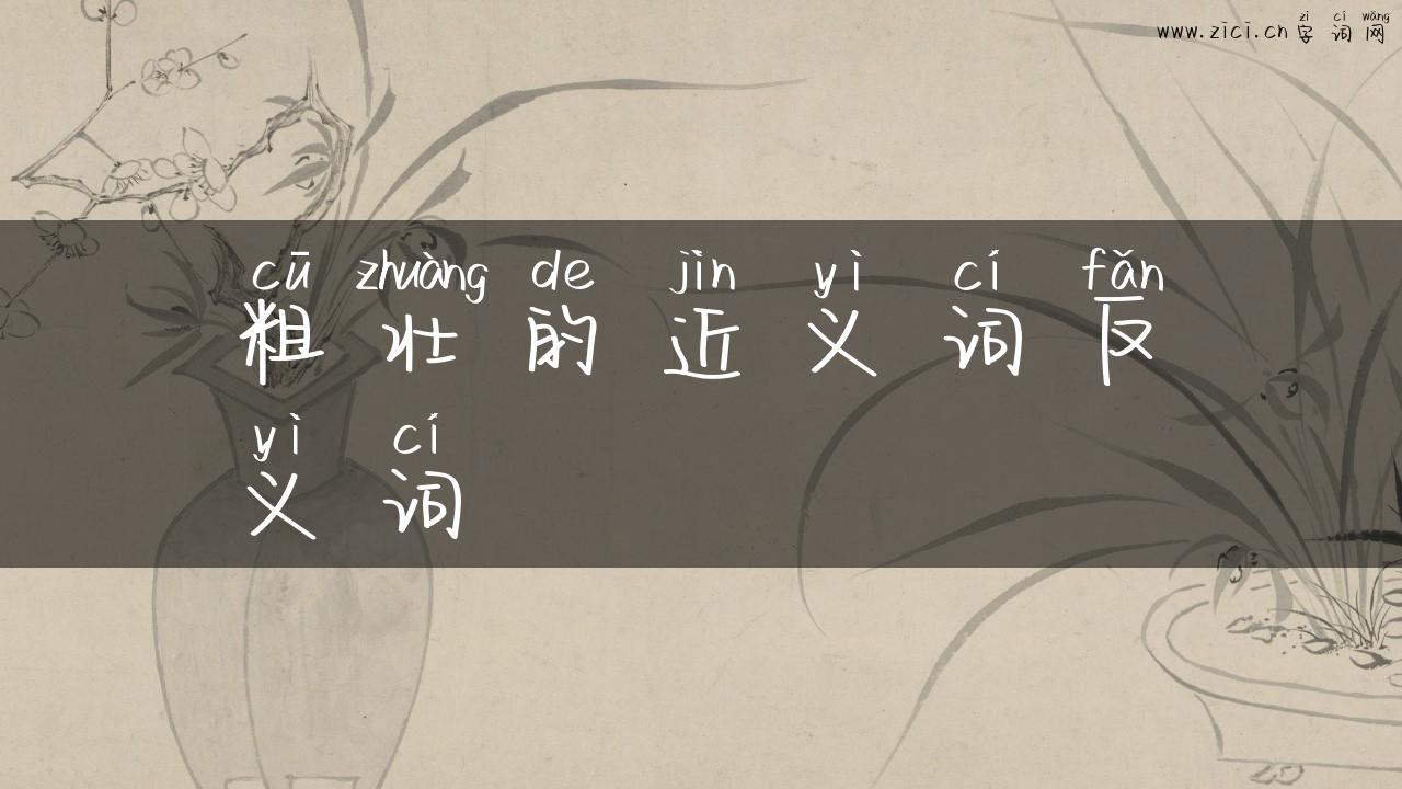 粗壮的近义词反义词