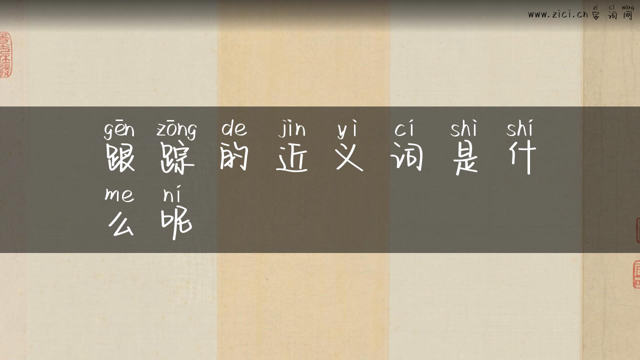 跟踪的近义词是什么呢