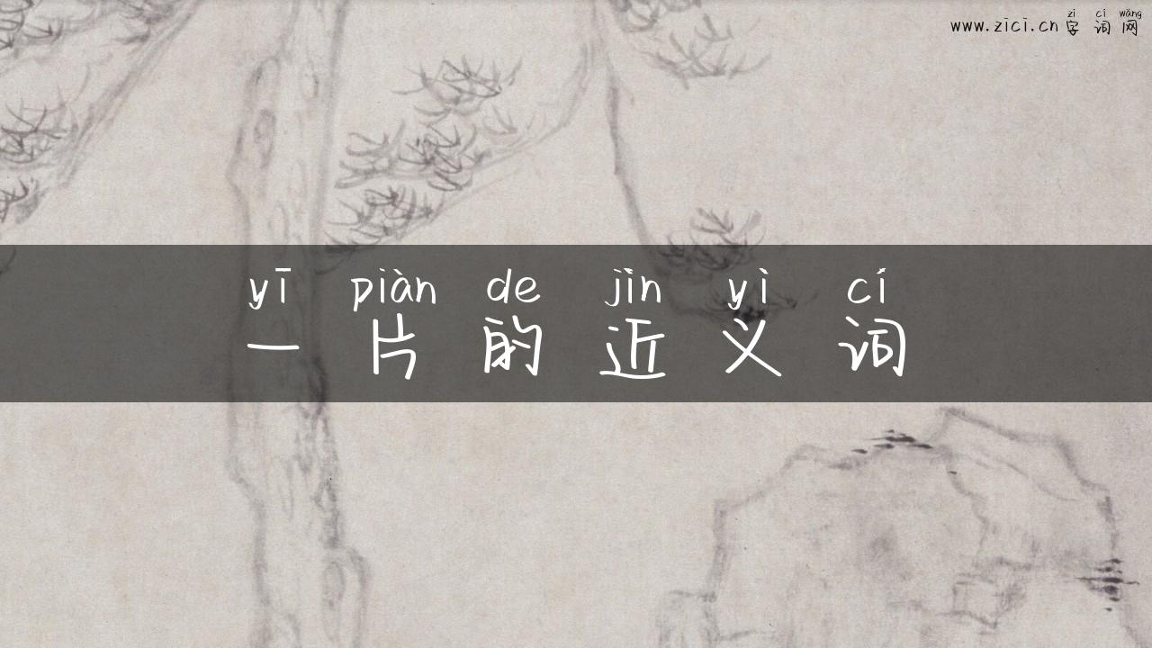 一片的近义词