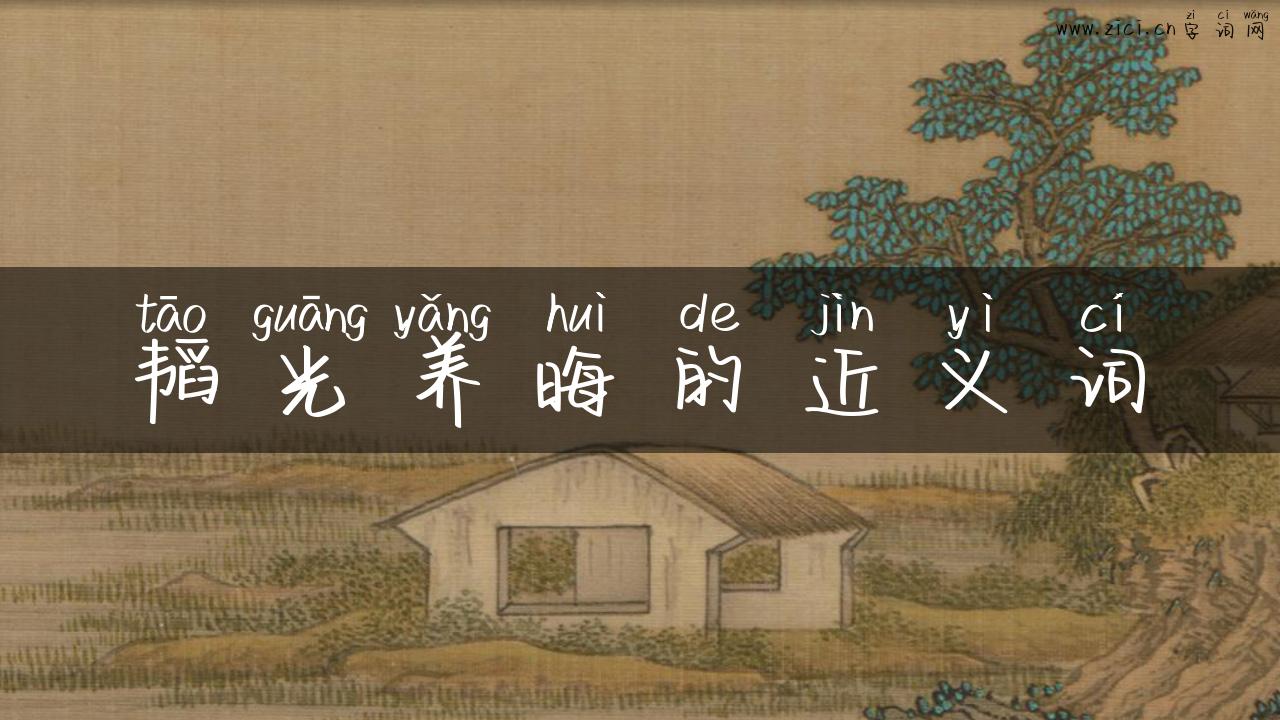 韬光养晦的近义词