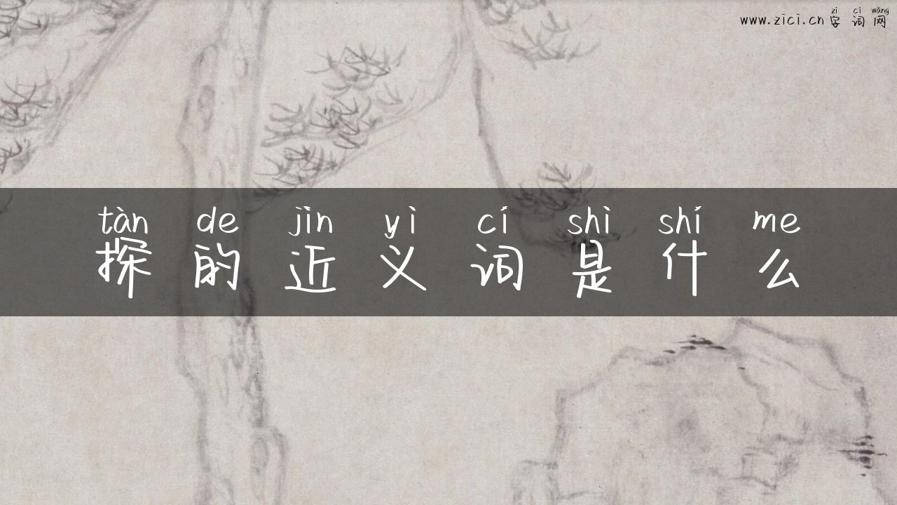 探的近义词是什么