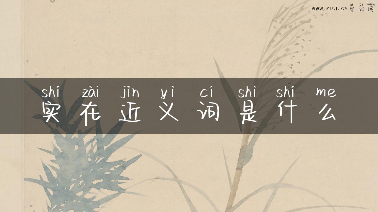 实在近义词是什么