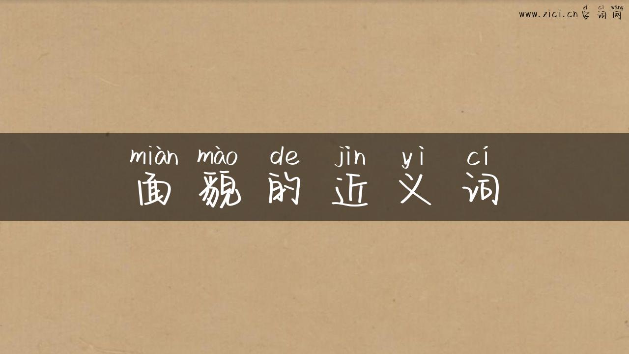 面貌的近义词