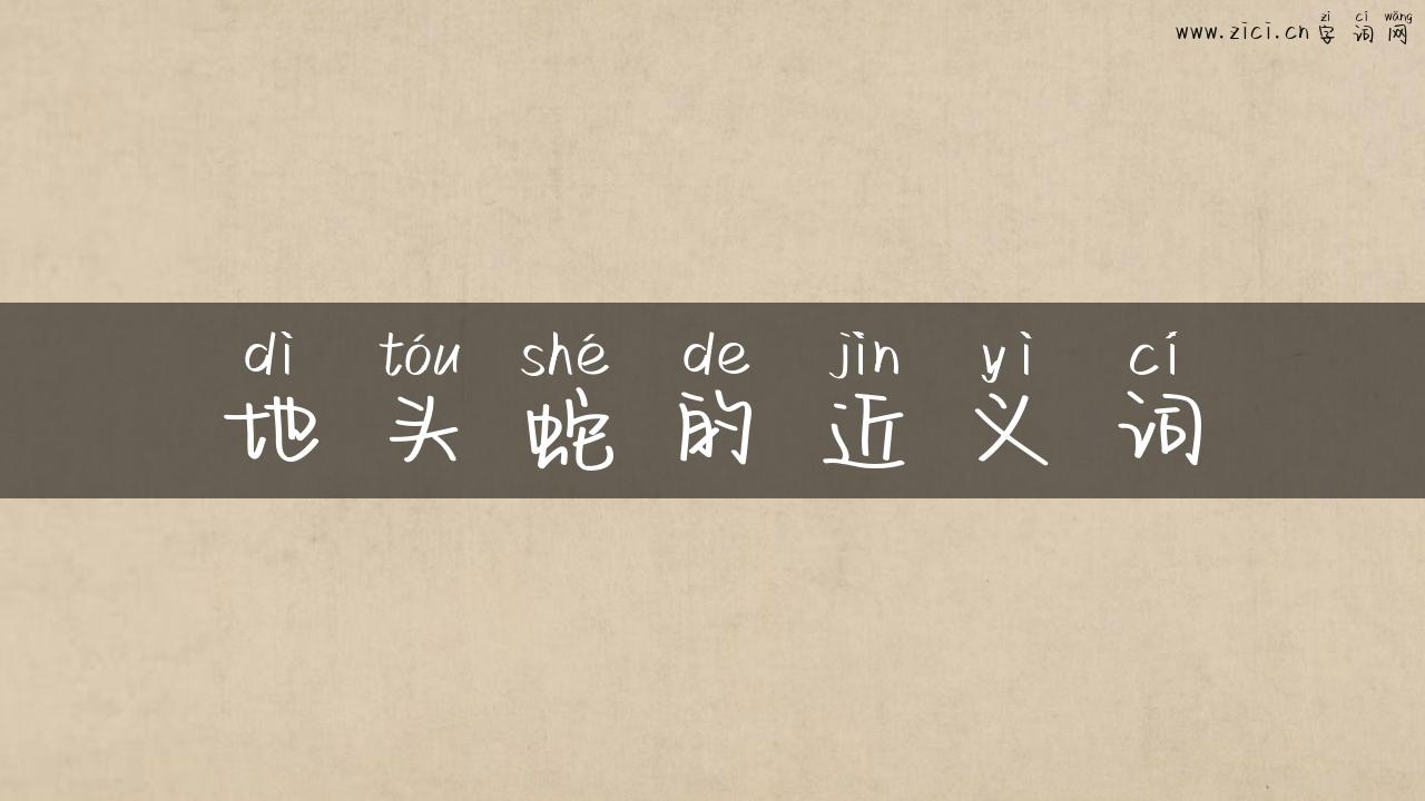 地头蛇的近义词