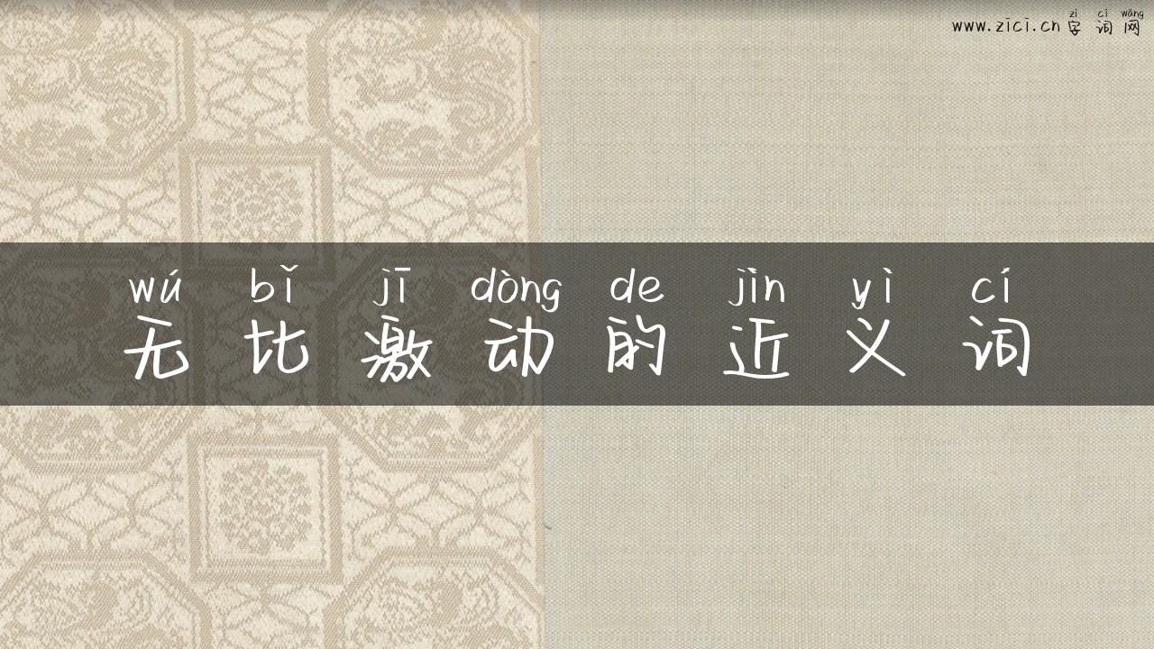 无比激动的近义词