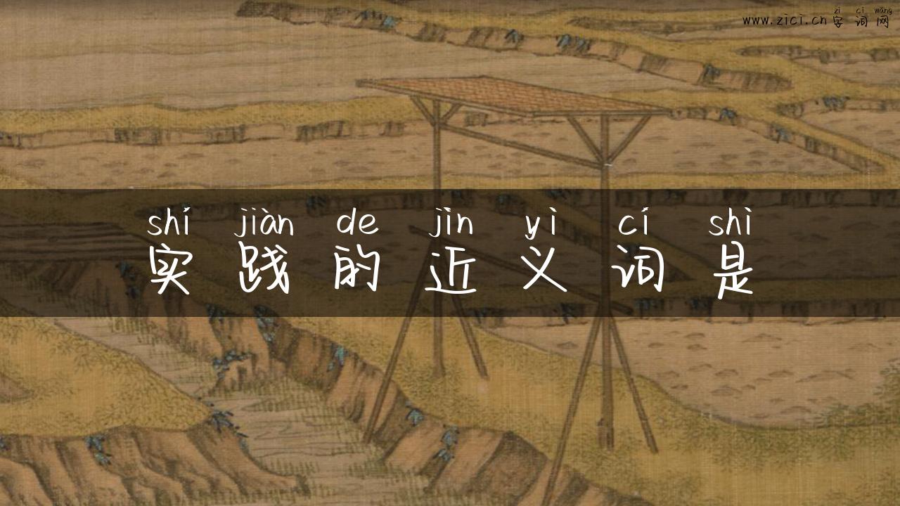 实践的近义词是