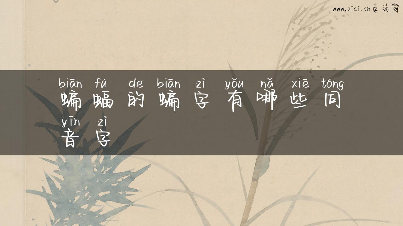 蝙蝠的蝙字有哪些同音字
