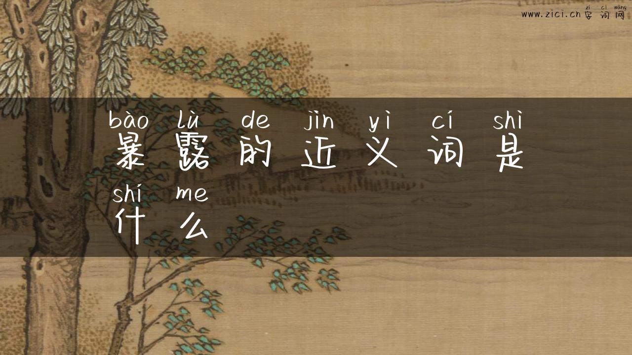 暴露的近义词是什么