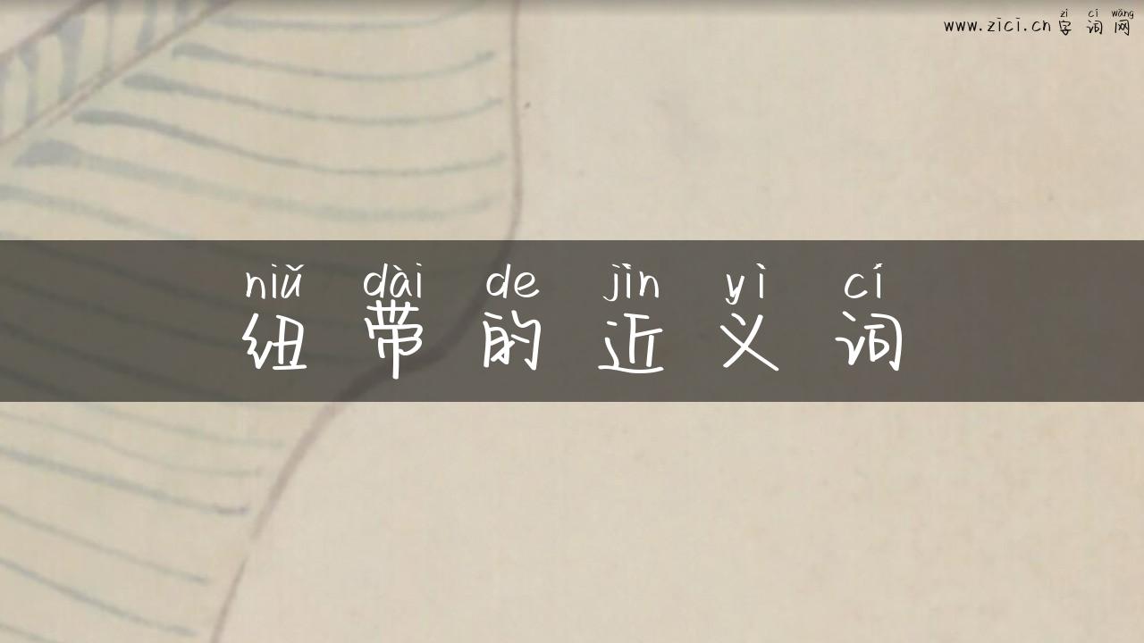 纽带的近义词