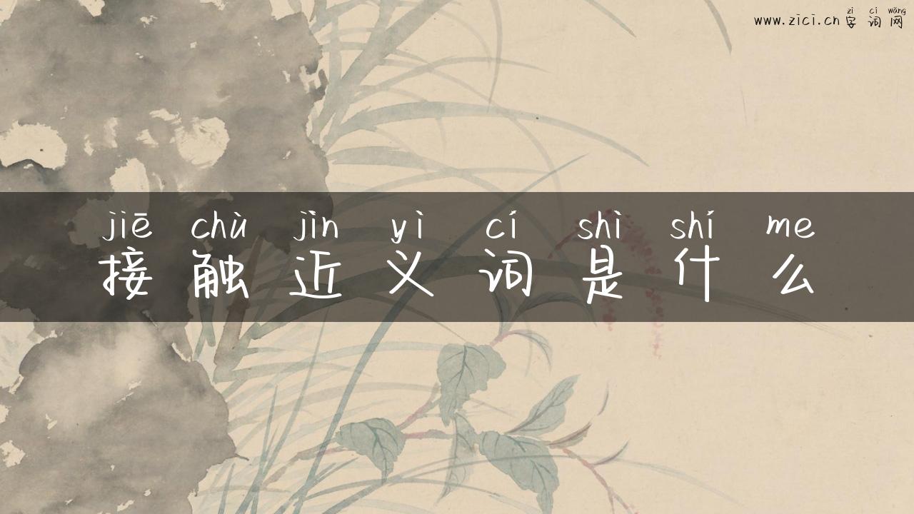 接触近义词是什么